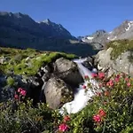 شقة Haus Ria