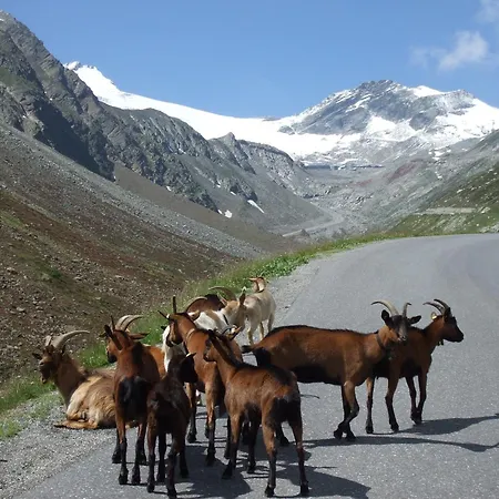 Апартаменты Haus Ria *